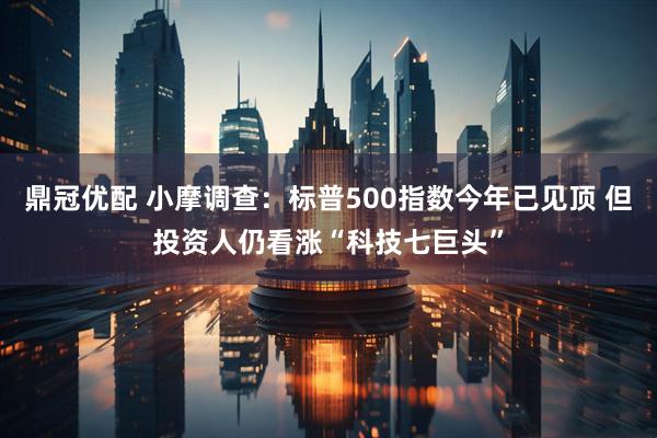 鼎冠优配 小摩调查：标普500指数今年已见顶 但投资人仍看涨“科技七巨头”