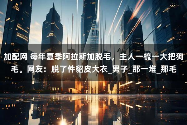 加配网 每年夏季阿拉斯加脱毛，主人一梳一大把狗毛。网友：脱了件貂皮大衣_男子_那一堆_那毛